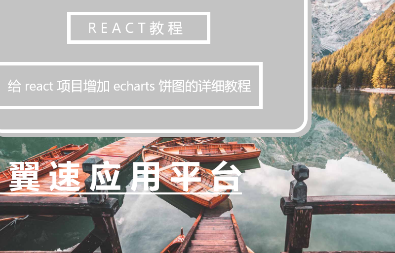  给react项目增加echarts饼图的详细教程来了