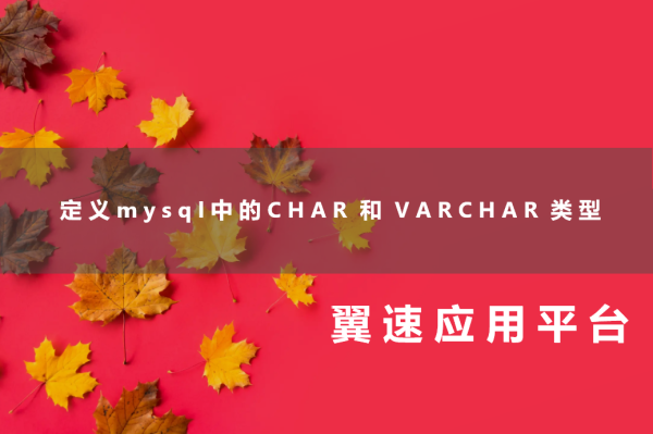 定义mysql中的CHAR 和 VARCHAR 类型