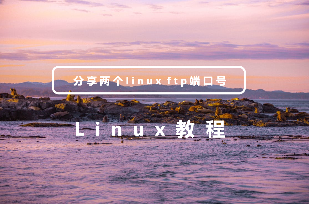 分享两个linux ftp端口号