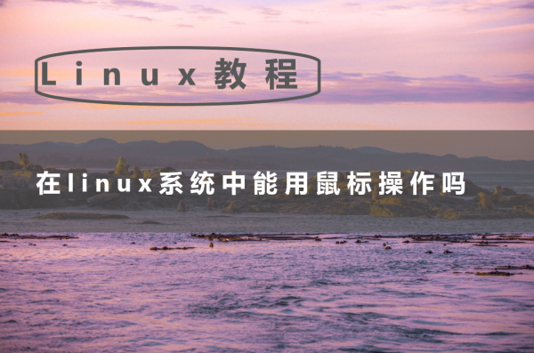 在linux系统中能用鼠标操作吗