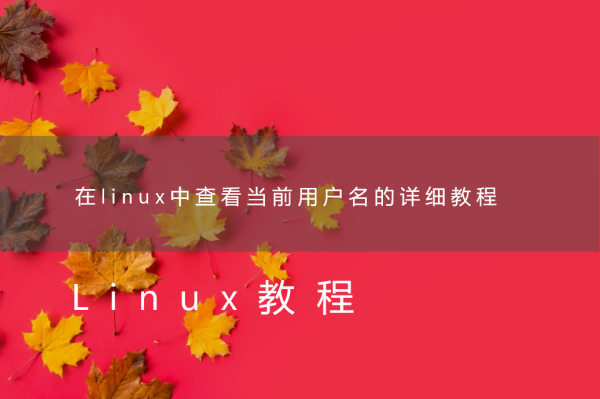 在linux中查看当前用户名的详细教程