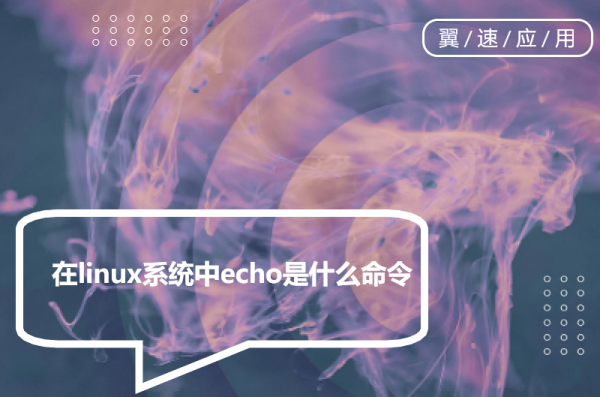 在linux系统中echo是什么命令