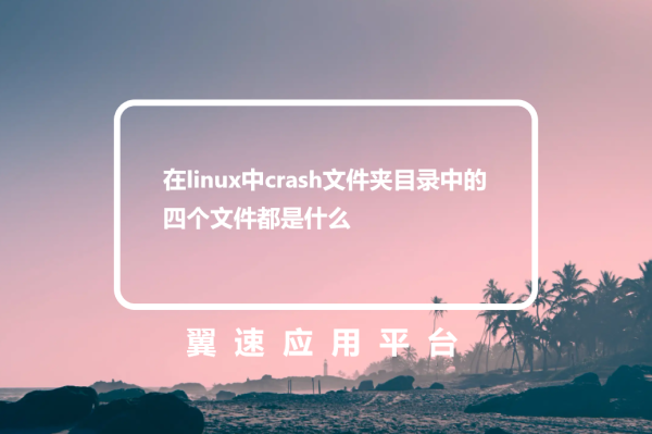 在linux中crash文件夹目录中的四个文件都是什么