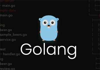 有关Golang-import你不知道的导入包语法