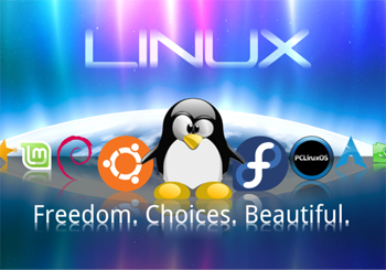 linux下如何查看当前登录的用户