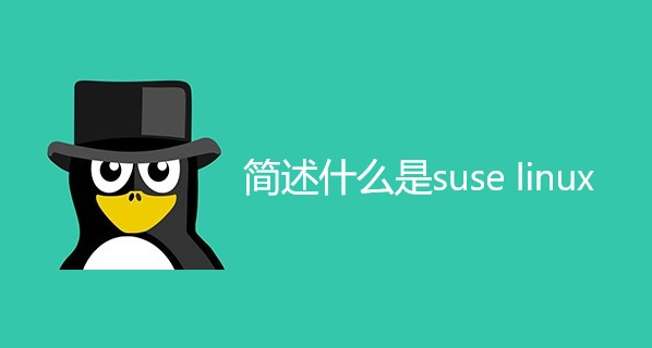 简述什么是suse linux
