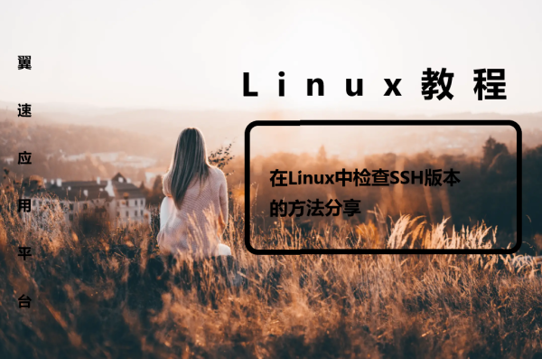 在Linux中检查SSH版本的方法分享