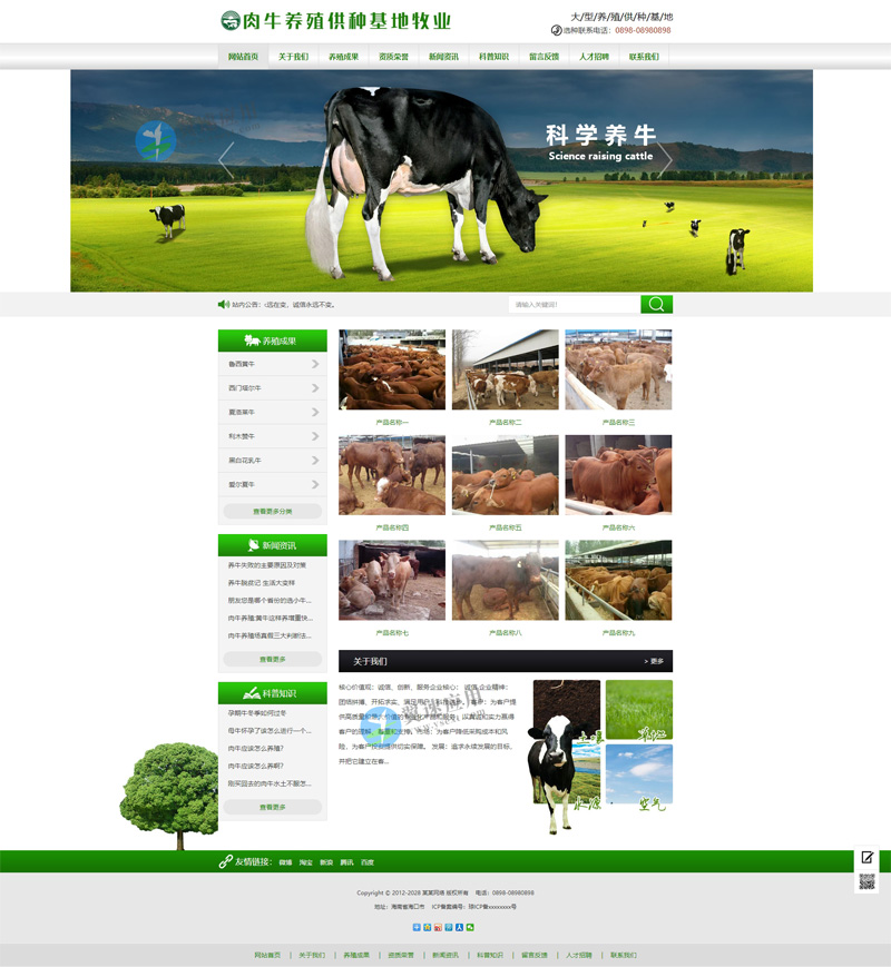 肉牛养殖网站图片.jpg
