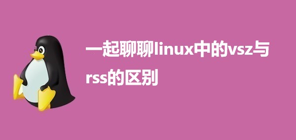  一起聊聊linux中的vsz与rss的区别