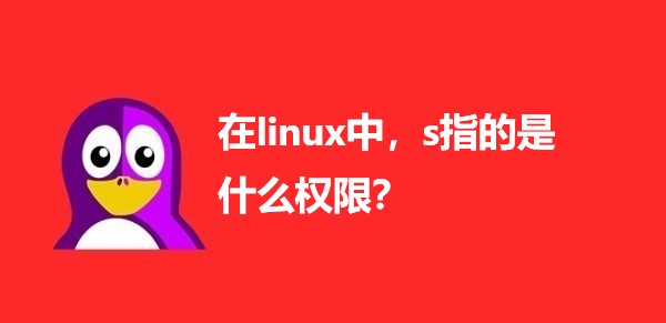 在linux中，s指的是什么权限？